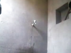 सेक्सी मूवी ब्लू सुनहरे बालों वाली पेशाब